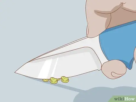 Покормить Betta Fish горохом Шаг 5