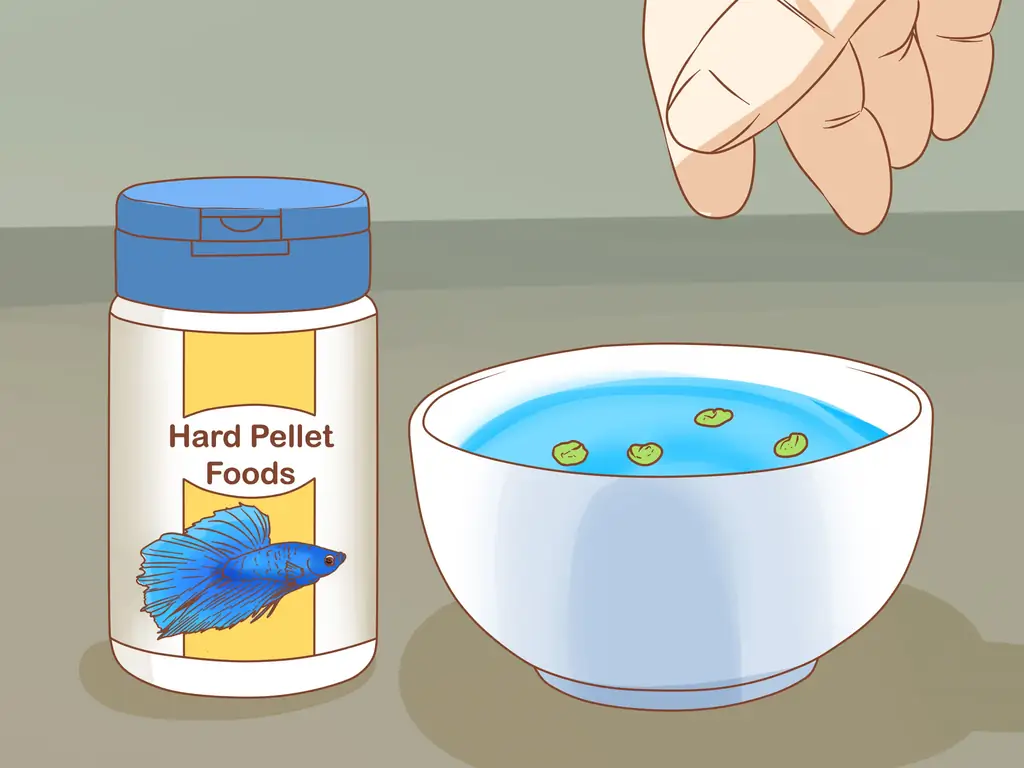 3 способа кормления бойцовой рыбы горохом