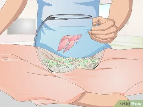 Научите свою бетту прыгать, шаг 3