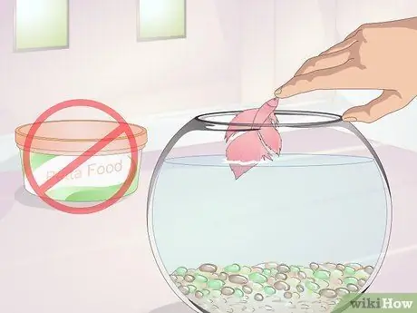 Научите свою бетту прыгать, шаг 9