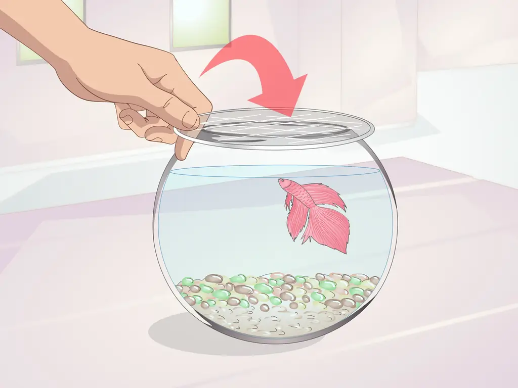 Как научить бетту прыгать: 11 шагов (с иллюстрациями)