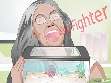 Назовите свою Betta Fish Шаг 8