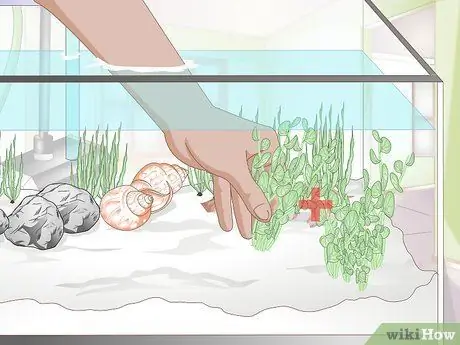 Украшаем аквариум Шаг 8