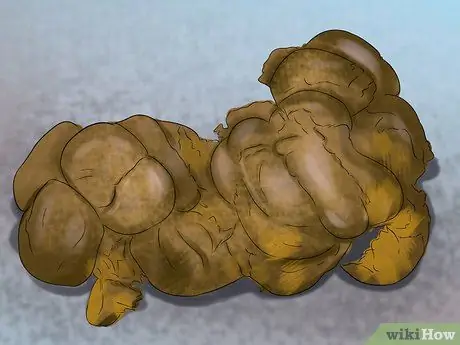 Как узнать, нужны ли лошади плавающие зубы Шаг 8