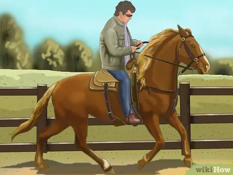 Не позволяйте лошади жевать что-то, шаг 3