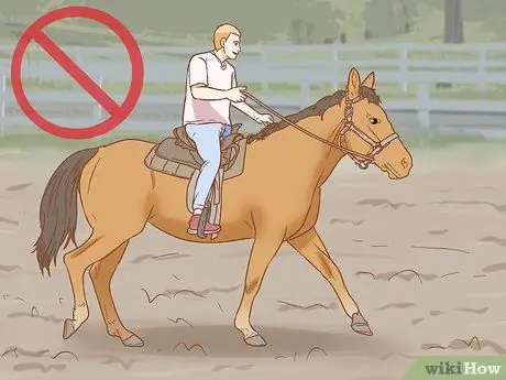 Предотвратить ламинит у лошадей Шаг 10