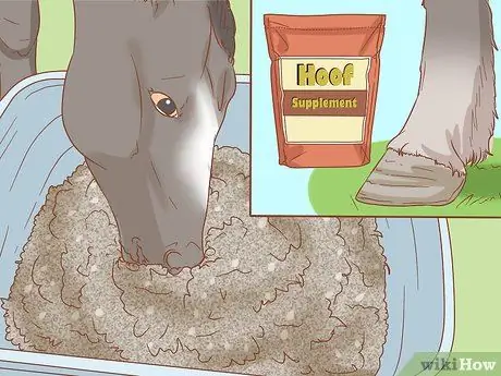 Предотвратить ламинит у лошадей Шаг 4