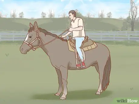 Предотвратить ламинит у лошадей Шаг 7