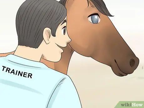 Как справиться с лунной слепотой у лошадей Шаг 13