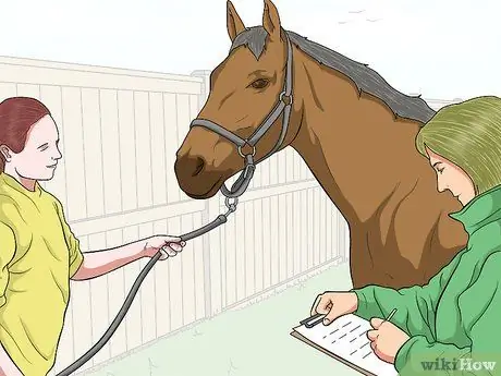 Защитить травмированный глаз на лошади Шаг 5