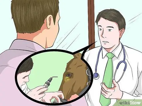 Защитить травмированный глаз на лошади Шаг 6