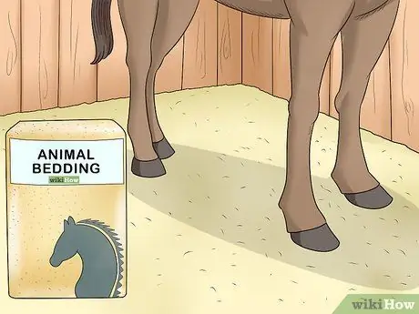 Обработка пятки жира у лошадей Шаг 10