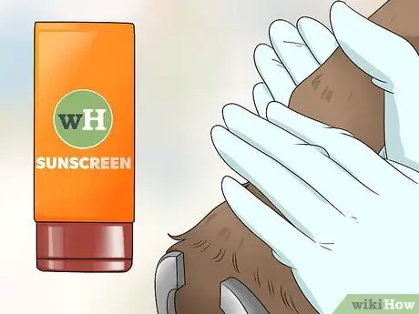 Обработка пятки жира у лошадей Шаг 14