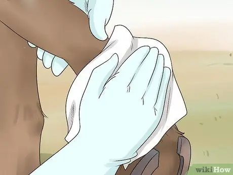 Обработка пятки жира у лошадей Шаг 3