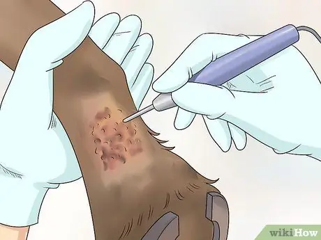 Обработка пятки жира у лошадей Шаг 9