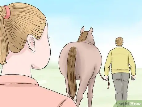 Как справиться с проблемами задних ног у лошадей Шаг 4