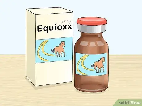 Как справиться с проблемами задних ног у лошадей Шаг 8