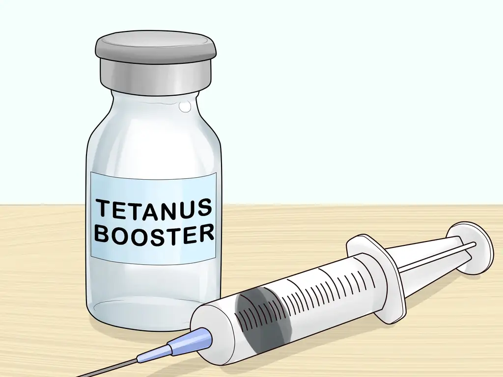 3 способа решения проблем с задними ногами у лошадей