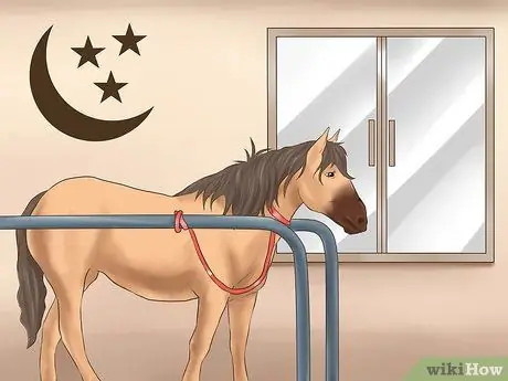 Лечить сладкий зуд у лошадей Шаг 9