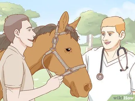 Как справиться с лошадью, склонной к ламиниту Шаг 10