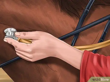 Выявление ранних признаков хромоты у лошадей Шаг 8