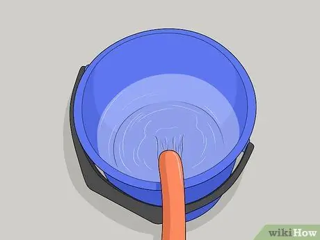 Лечить конских вшей Шаг 1