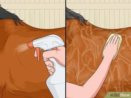 Лечить конских вшей Шаг 11