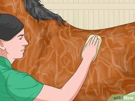 Лечить конских вшей, шаг 4