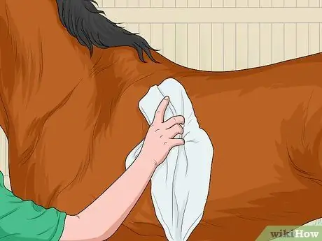 Лечить конских вшей Шаг 5