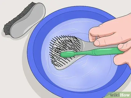 Лечить конских вшей Шаг 7