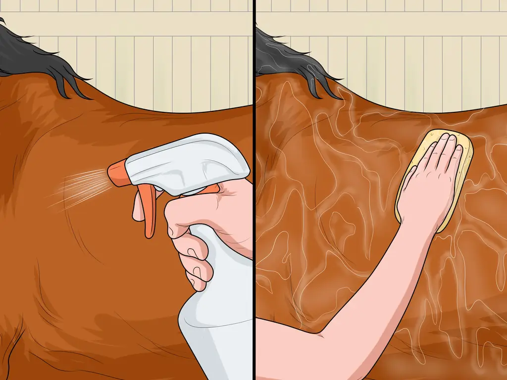 Как лечить конские вши: 11 шагов (с иллюстрациями)