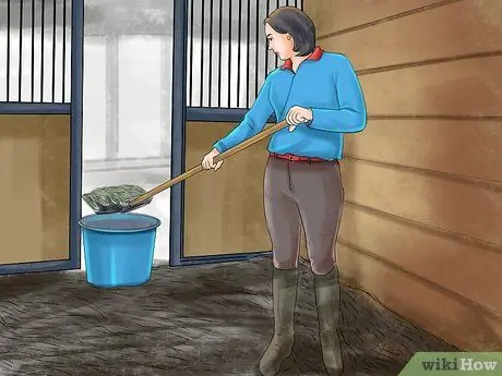 Диагностика паразитов у лошадей Шаг 10