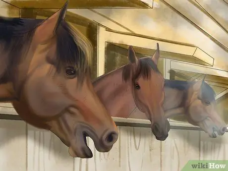 Диагностика паразитов у лошадей Шаг 12