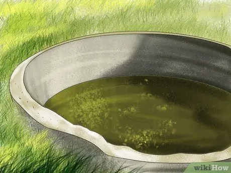 Диагностика паразитов у лошадей Шаг 13