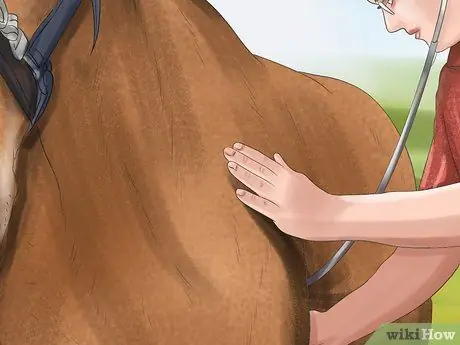 Диагностика паразитов у лошадей Шаг 7