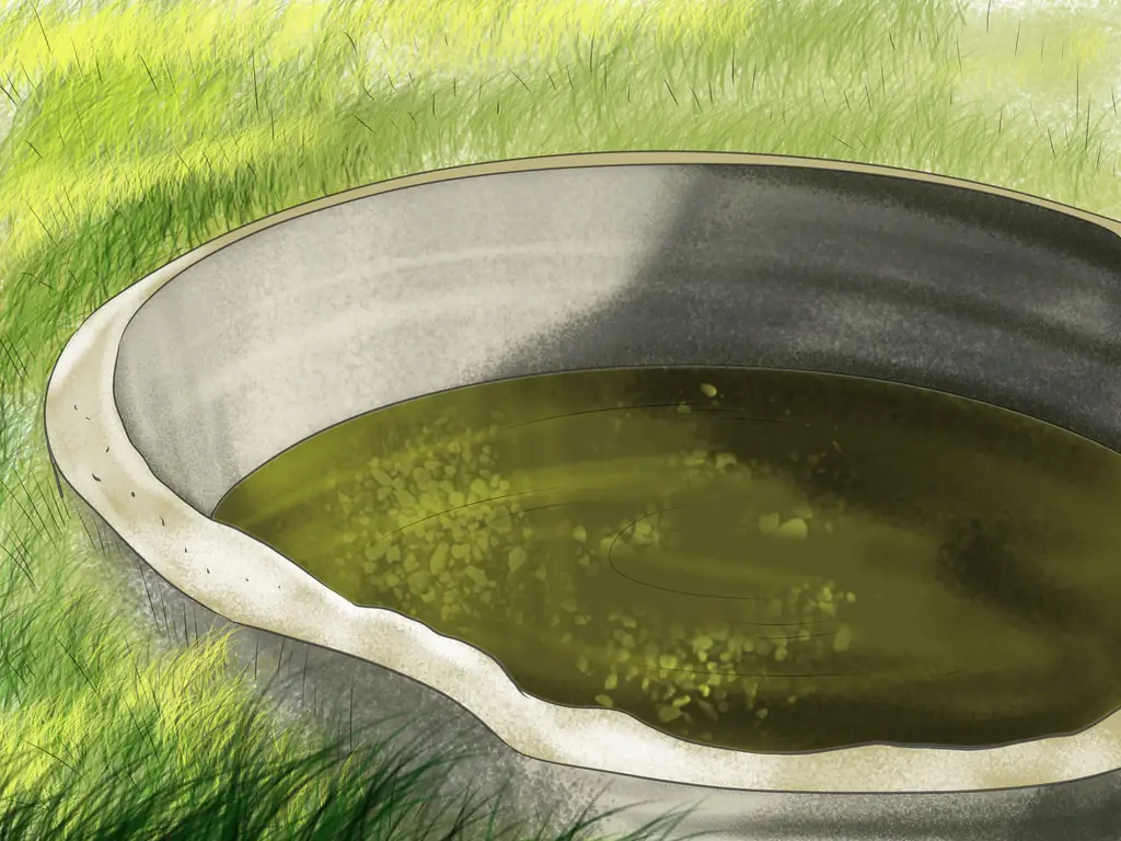 Как диагностировать паразитов у лошадей: 13 шагов (с изображениями)