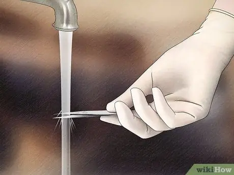 Удаление клеща с лошади Шаг 11