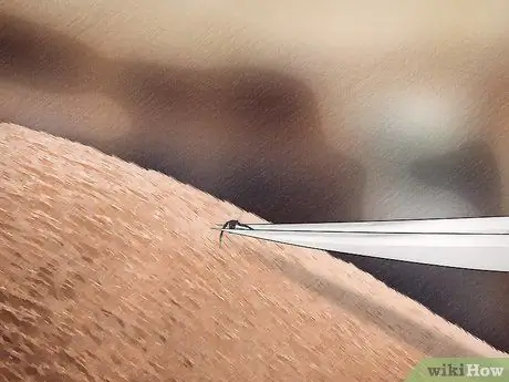 Удаление клеща с лошади Шаг 12