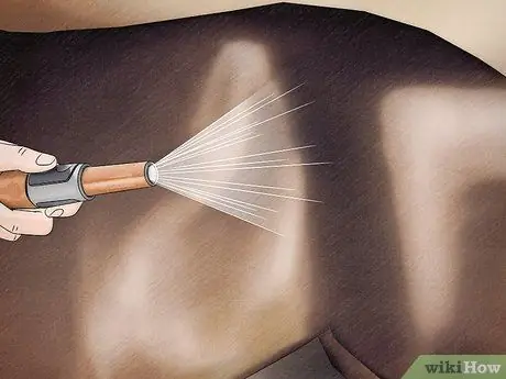 Снять клеща с лошади Шаг 13