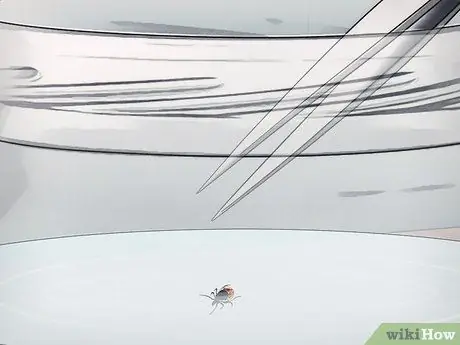 Удаление клеща с лошади Шаг 14