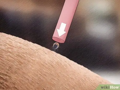 Удаление клеща с лошади Шаг 4