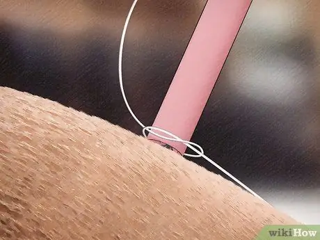 Удаление клеща с лошади Шаг 6