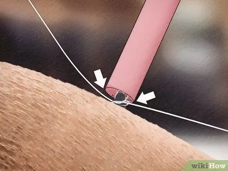 Удаление клеща с лошади Шаг 7