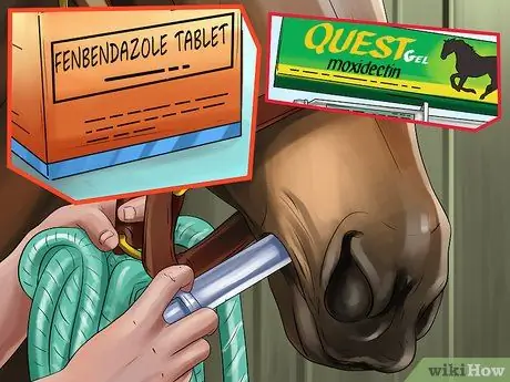 Избавьтесь от заражений Strongyle на лошадях, шаг 5