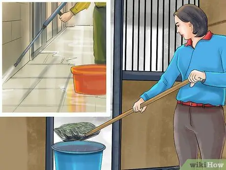 Предотвращение появления паразитов у лошадей Шаг 11