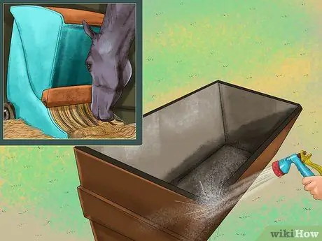 Предотвращение появления паразитов у лошадей Шаг 12