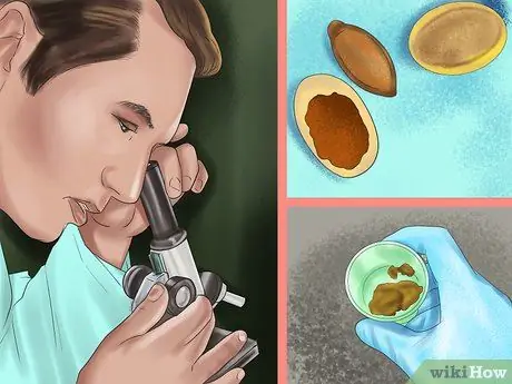 Предотвращение появления паразитов у лошадей Шаг 5