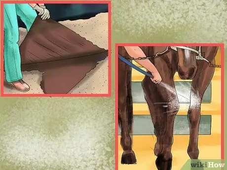 Лечить внешних паразитов лошади Шаг 12