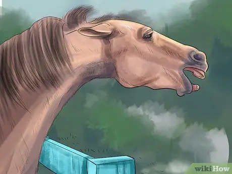 Лечить внешних паразитов лошадей Шаг 3