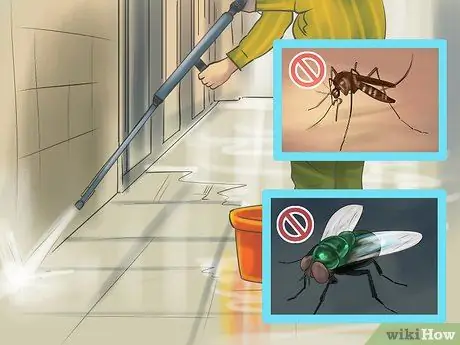 Лечить внешних паразитов лошадей Шаг 5